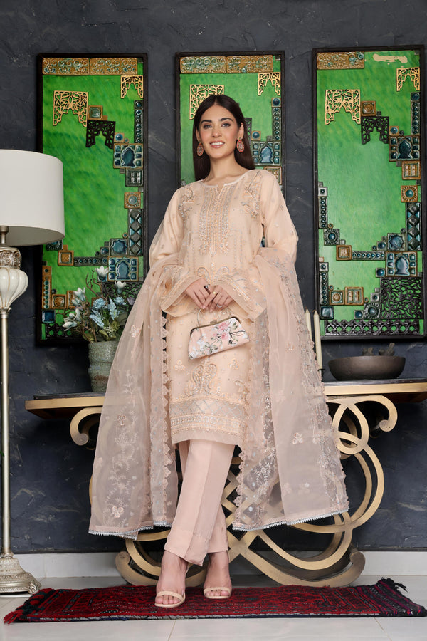 Stitched 3 Piece Embroidered Luxury Organza Collection