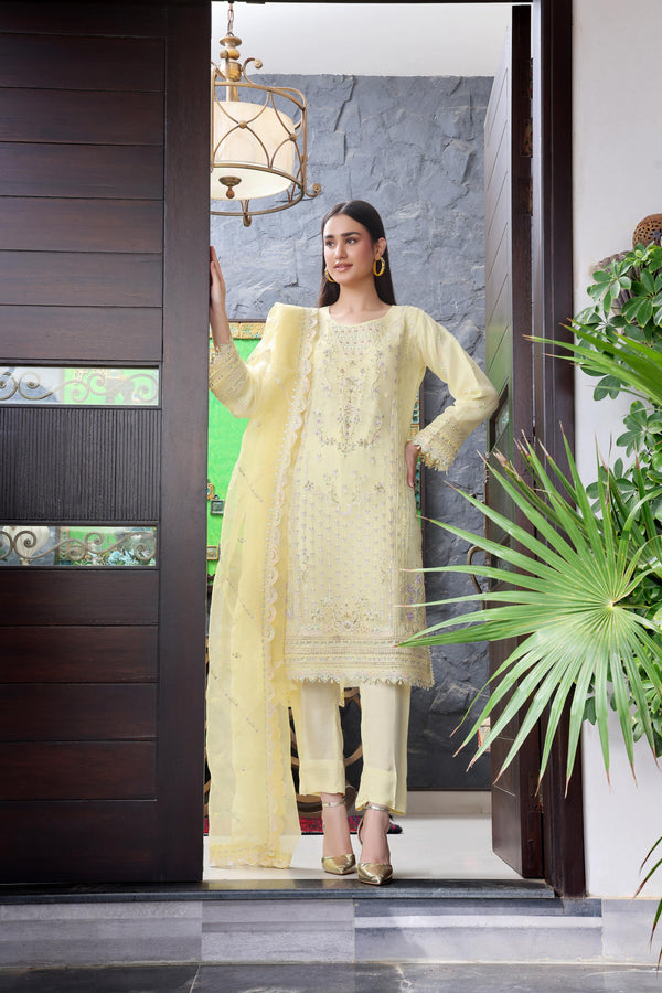 Stitched 3 Piece Embroidered Luxury Organza Collection